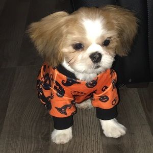 🌺PALLET LIVE SHOW LISTING🌺